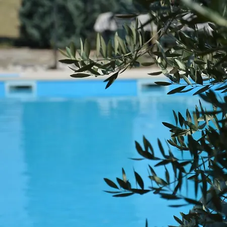 Agata Poreč